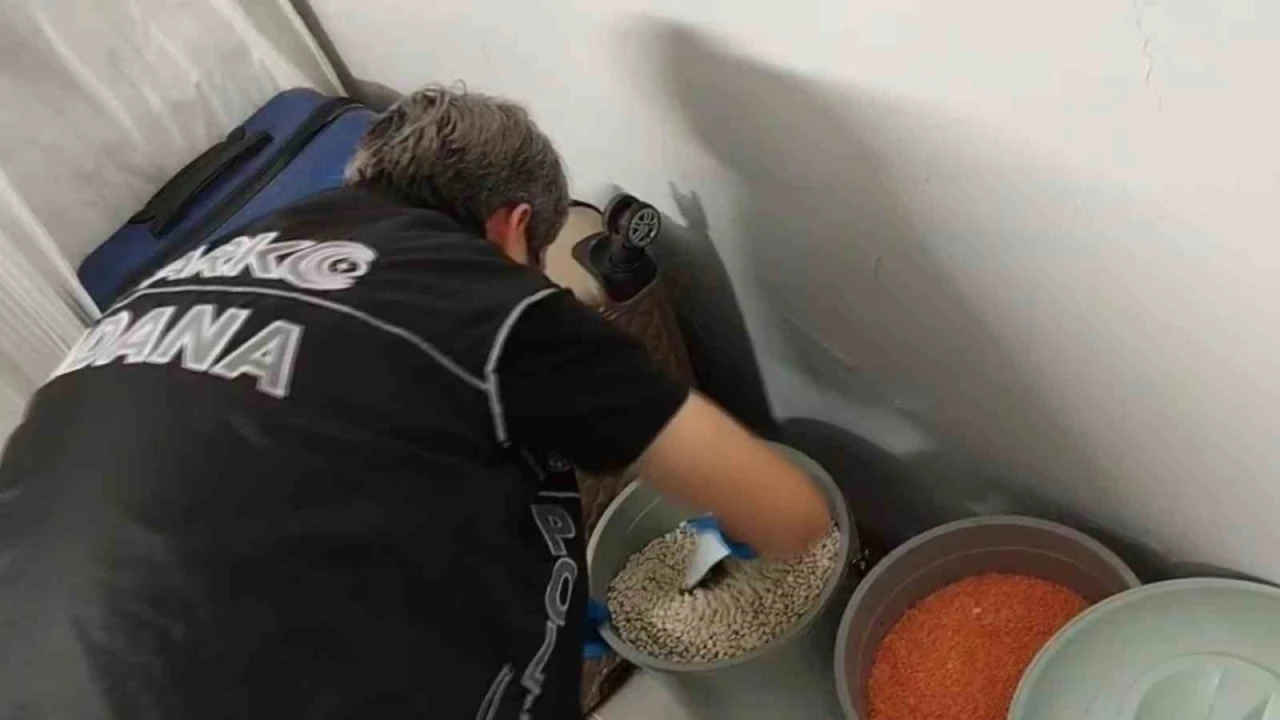 Torbacının bonzai zulası fasulye dolu kova çıktı: 6 tutuklama