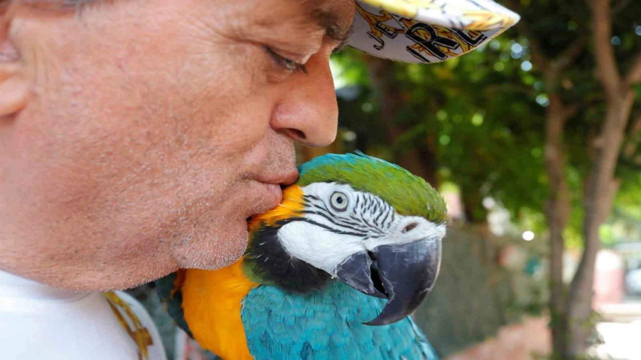 Turgut Özalın kaybolan papağanı 3 gün sonra bulundu