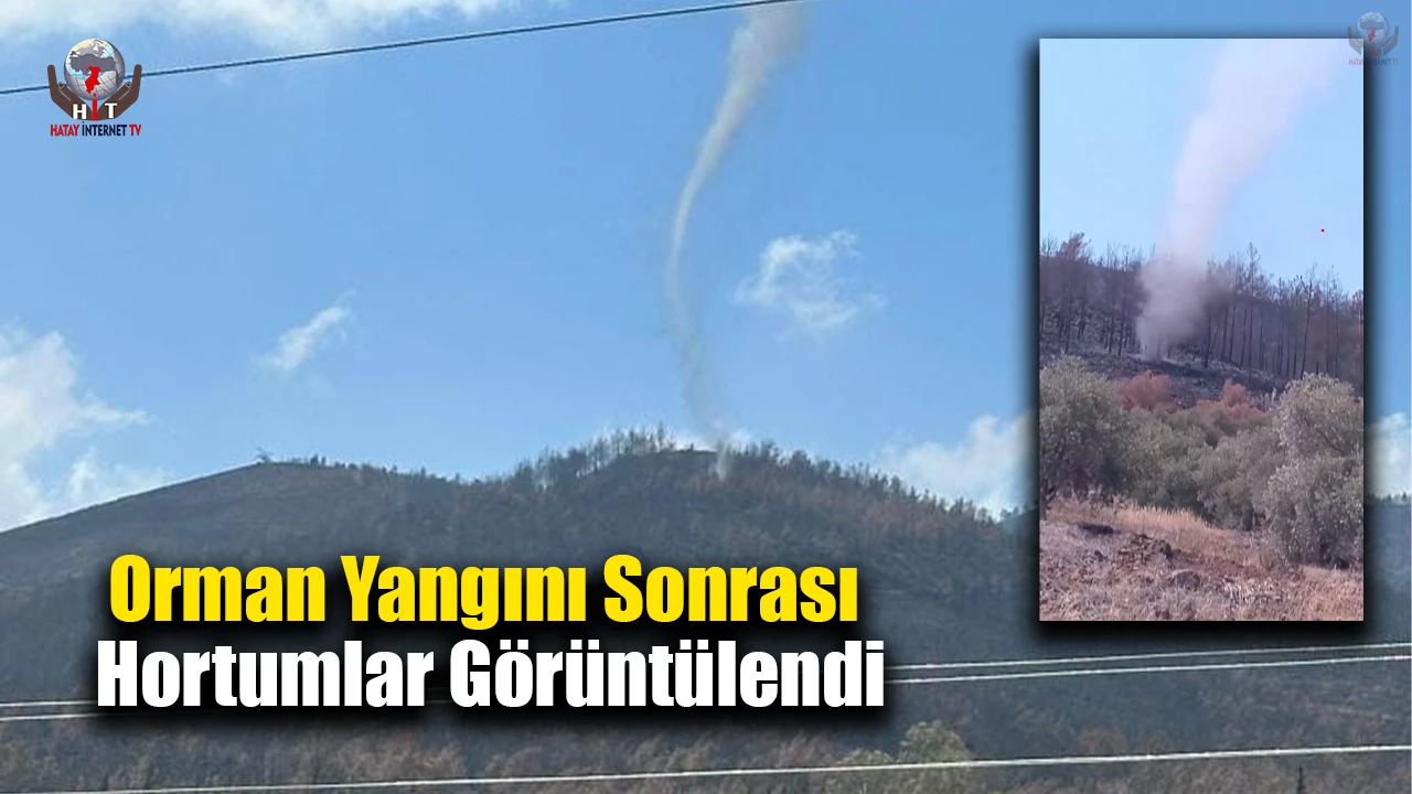 Yangının küle çevirdiği ormanlık alanda çıkan hortumlar kamerada