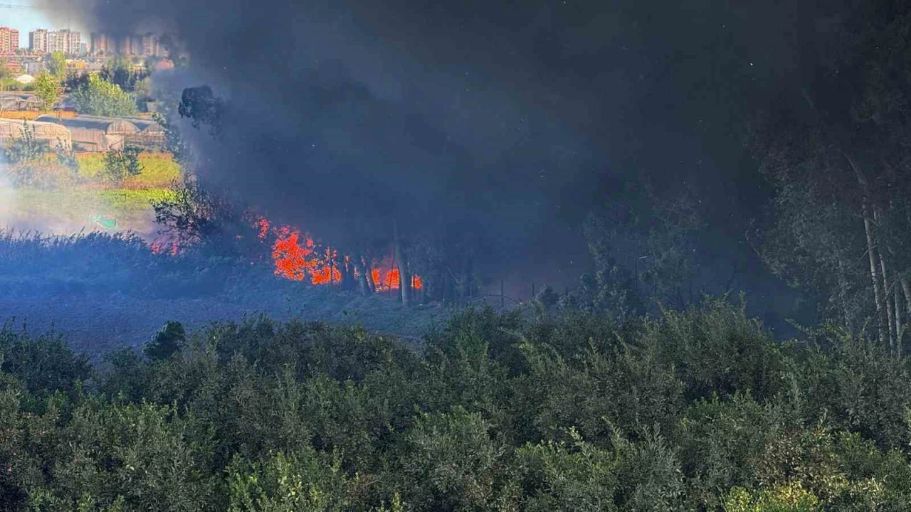Adanada geri dönüşüm fabrikasında yangın çıktı