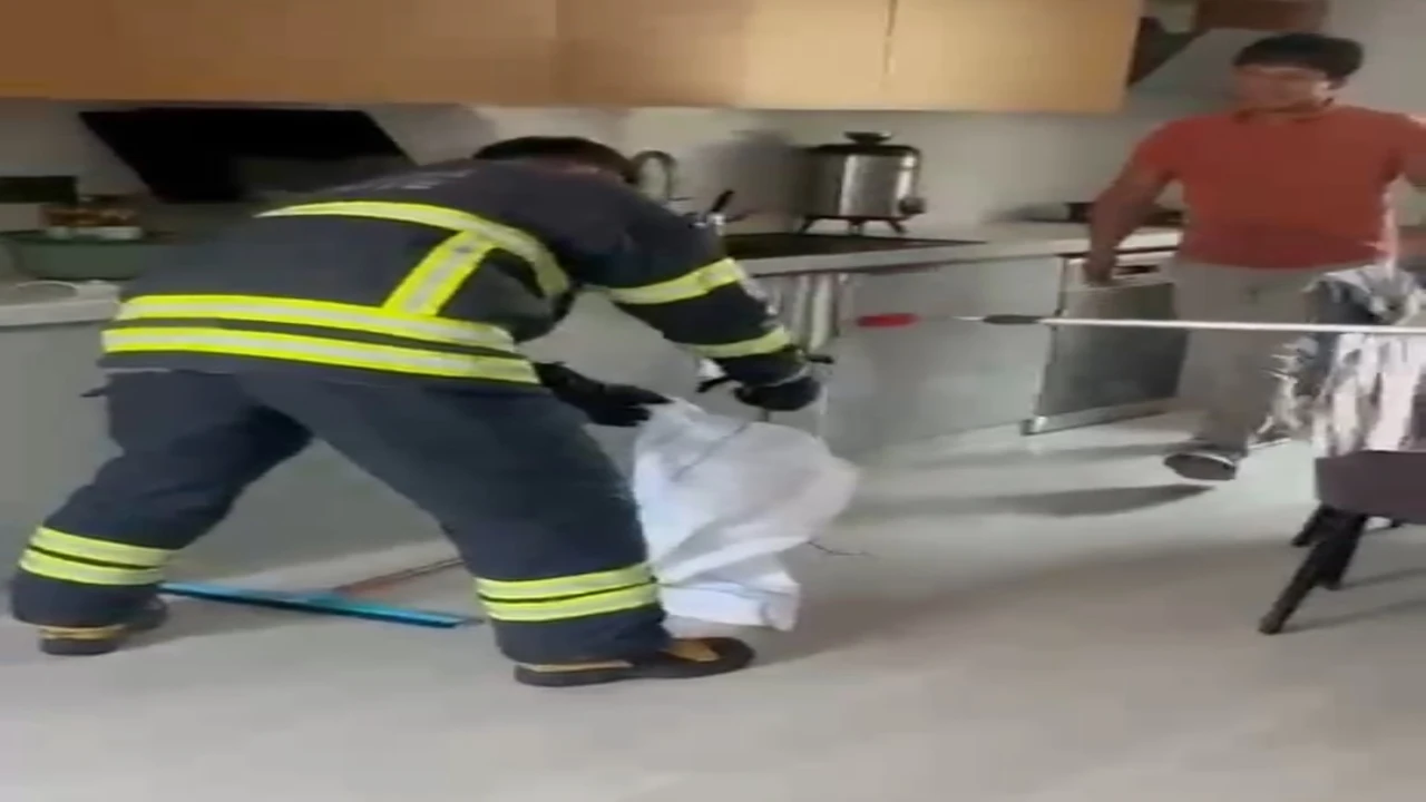 Adanada mutfaktan çıkan yılan paniğe yol açtı