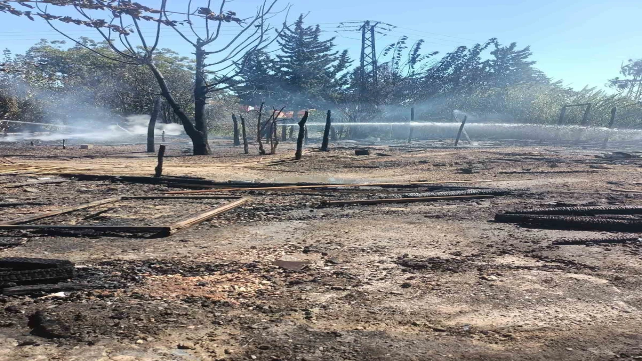 Adanada tarım işçilerinin kaldığı 4 çadır yandı