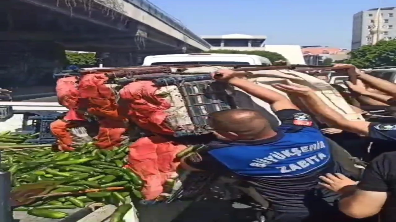 Adanada zabıta seyyara operasyon yaptı, ürünleri ziyan etti