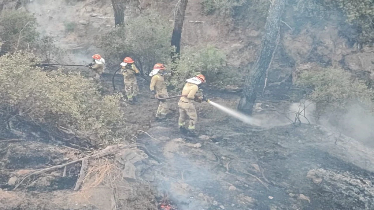 Adanadaki orman yangını kontrol altına alındı