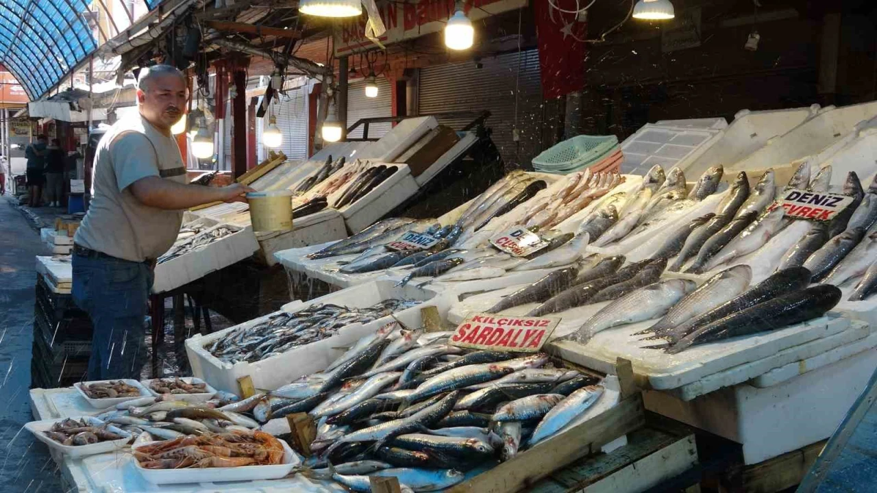 Akdenizde av yasağı bitti, tezgahlarda bolluk başladı