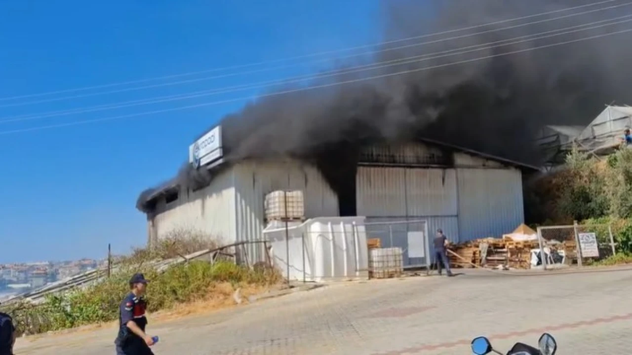 Alanyada serada çıkan yangın depoya sıçradı