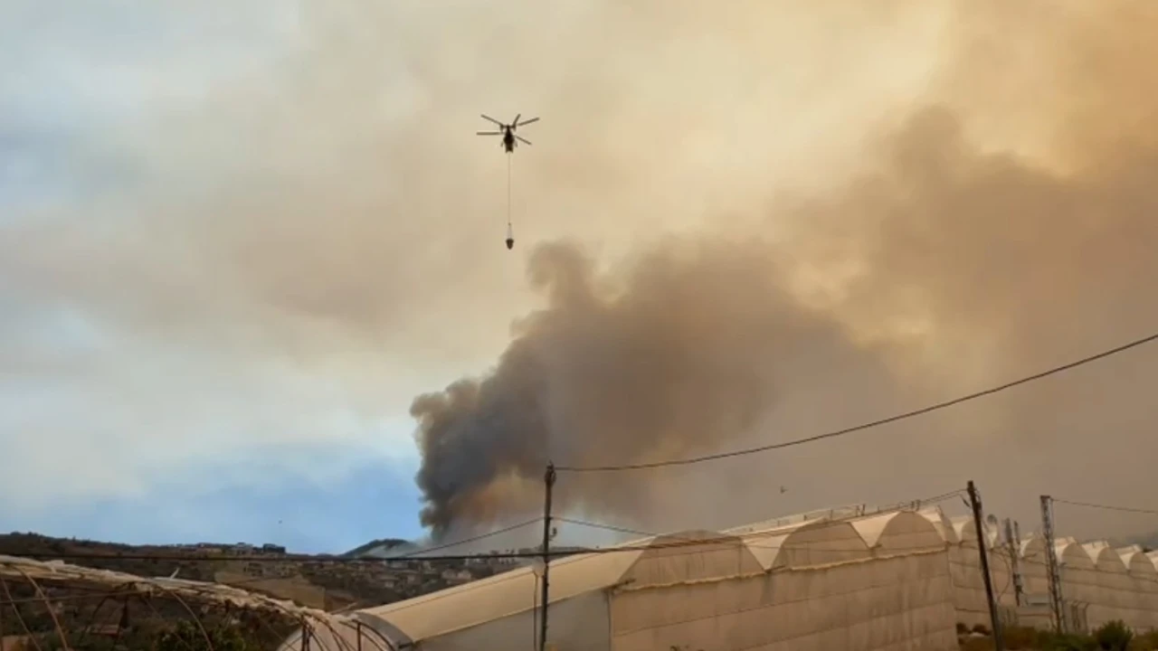 Alanyadaki orman yangını yeniden alevlendi