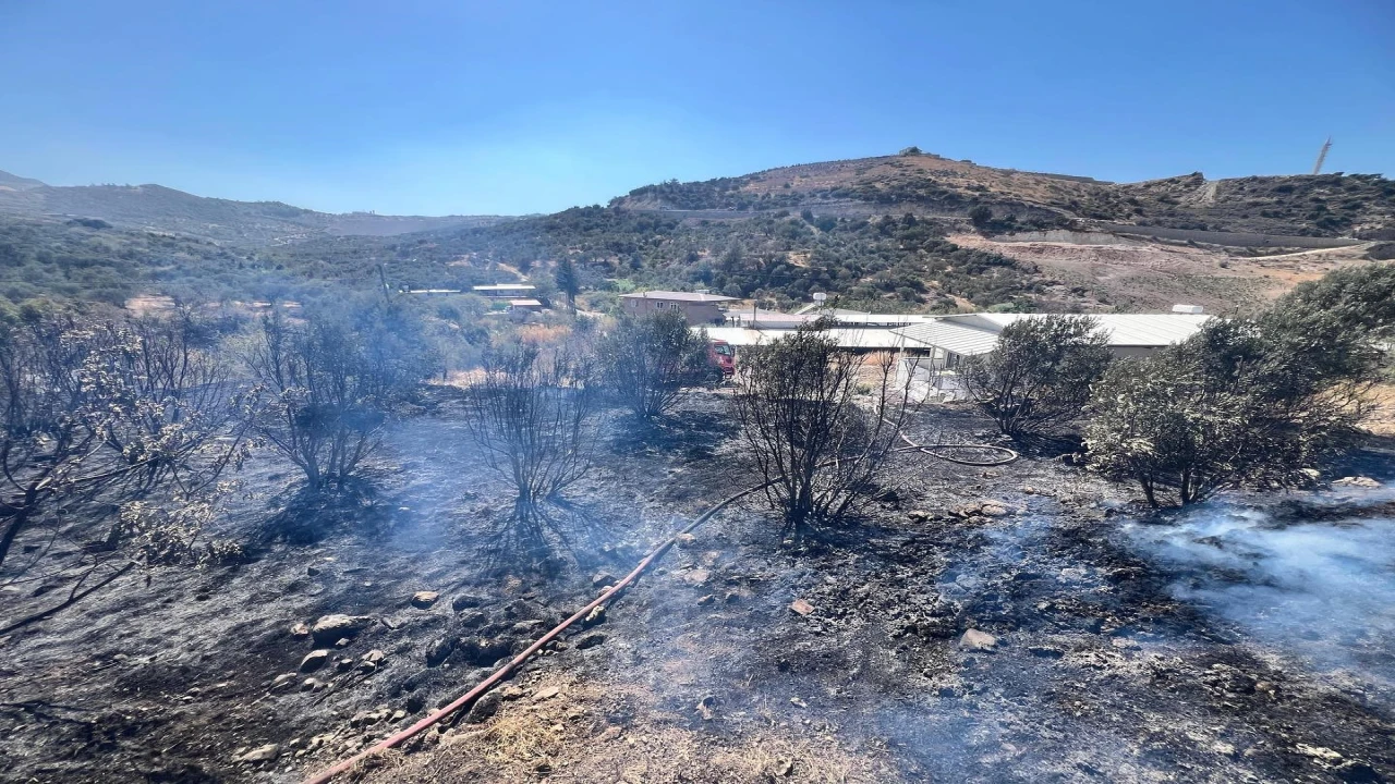 Antakyada bahçe yangını