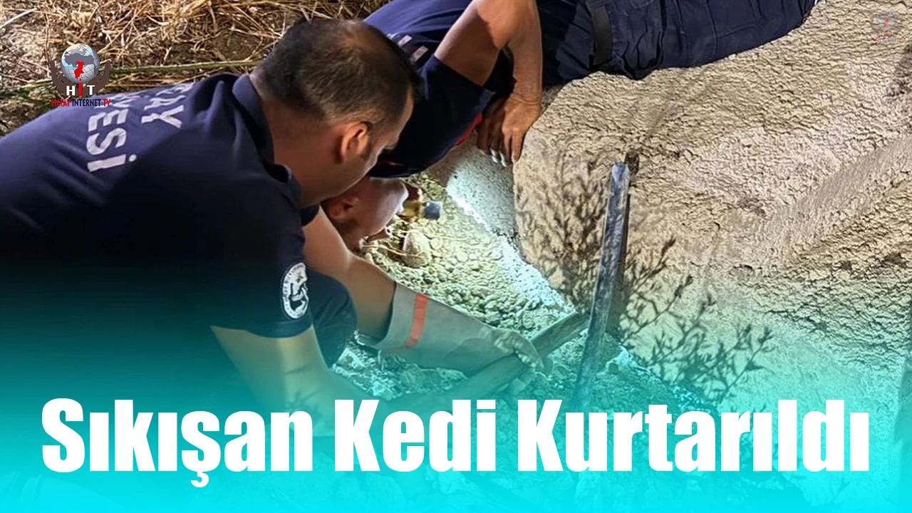 Antakyada beton boru içinde sıkışan kedi kurtarıldı