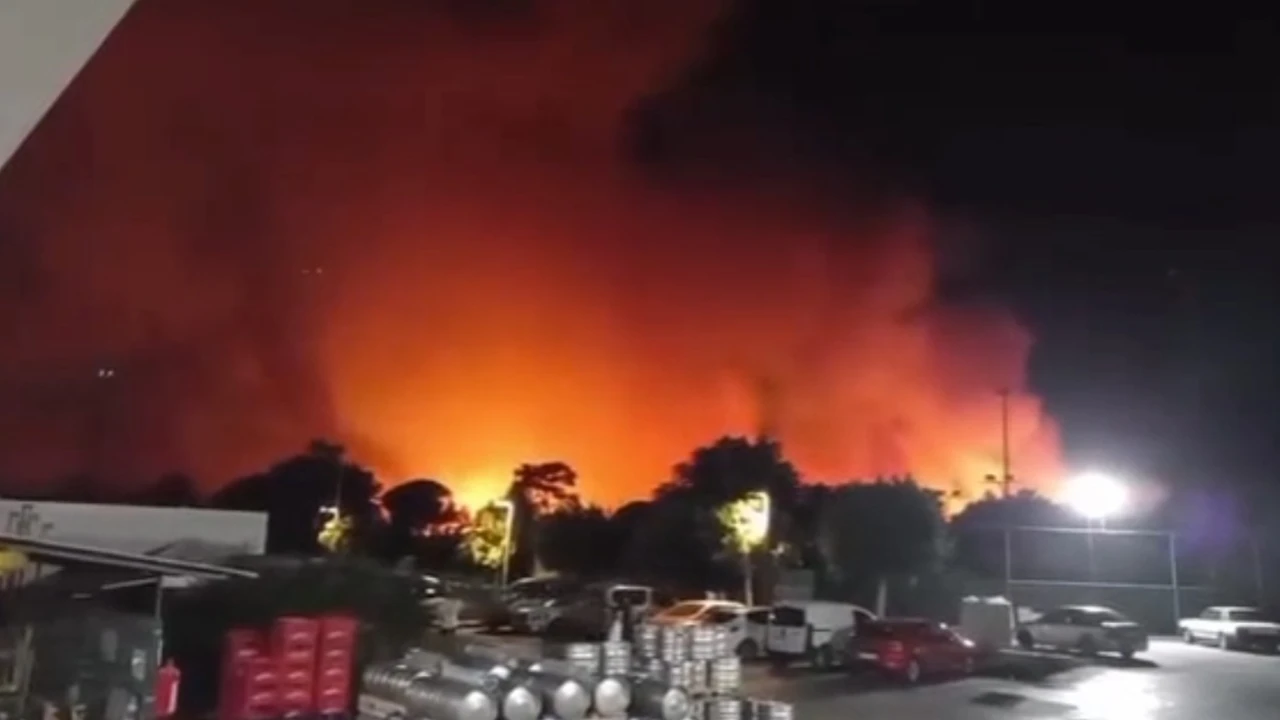 Antalya Aksuda ormanlık alanda yangın