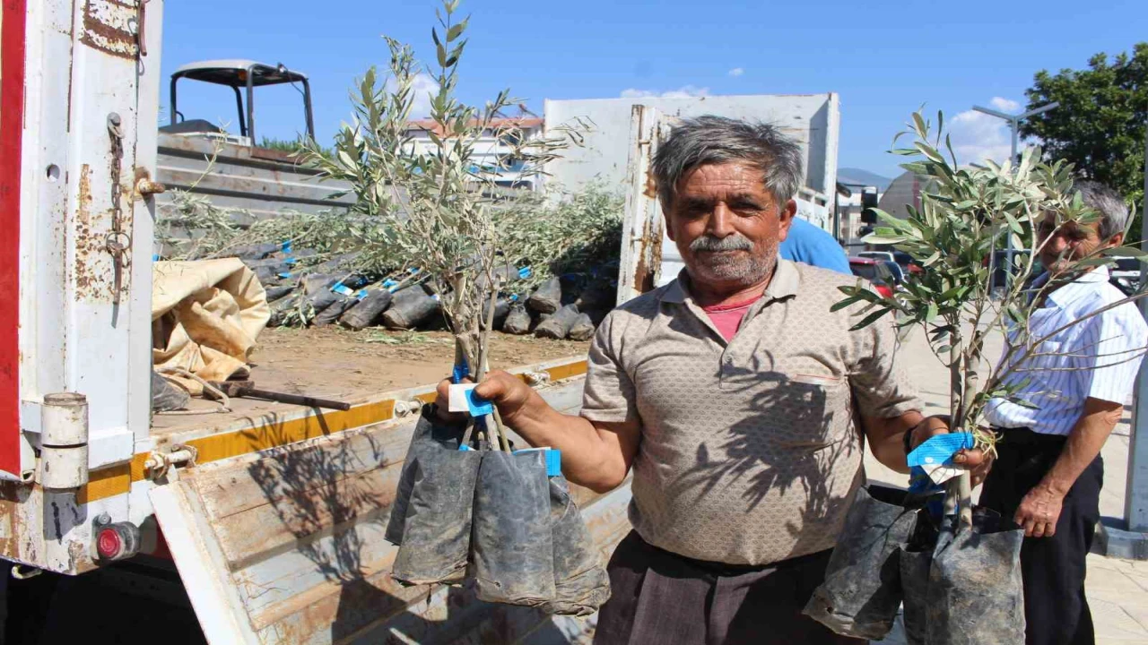 Antalya Büyükşehir Belediyesinden fidan desteği