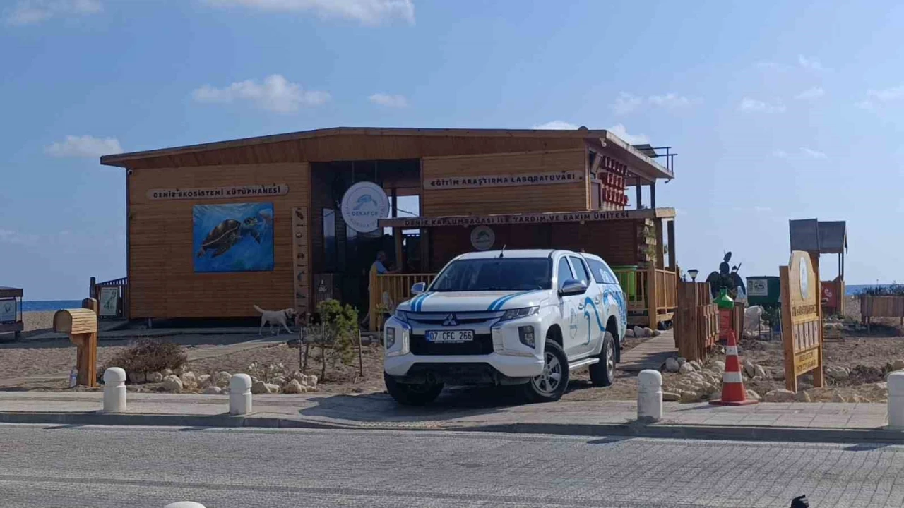 Antalyada deniz kaplumbağası ambulansı göreve başladı