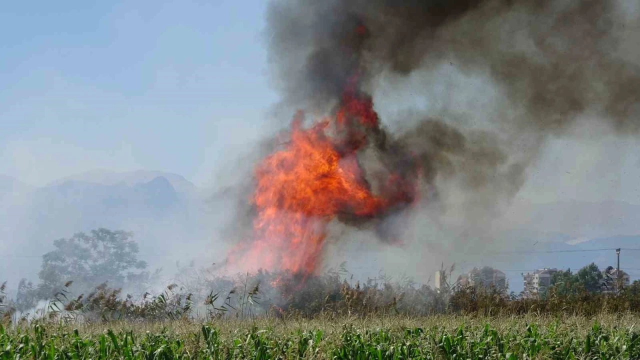 Antalyada kargılık alanda yangın
