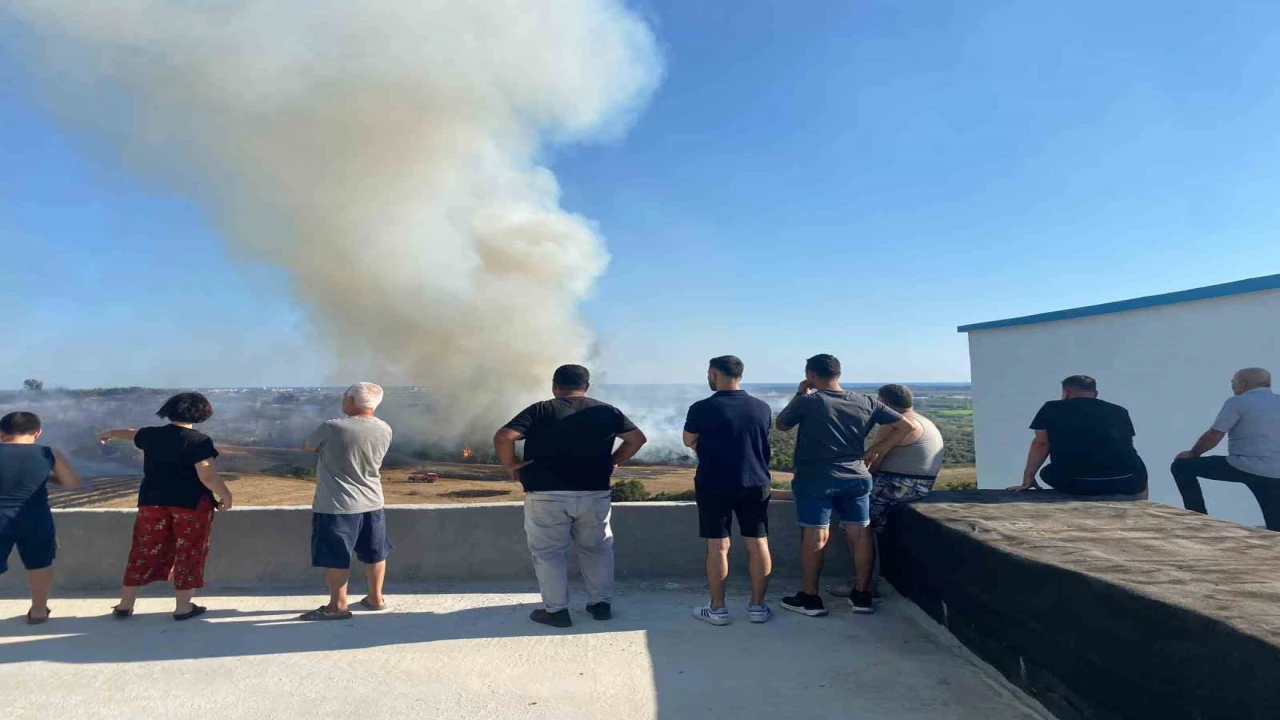 Antalyada makilik alanda çıkan yangın zeytin ağaçlarına zarar verdi
