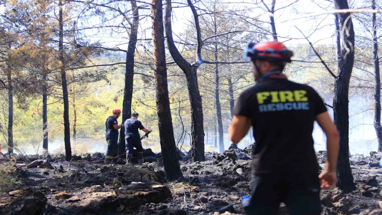 Antalyada ormanlık alandaki yangın büyümeden söndürüldü: Kova ve küreklerle müdahale ettiler