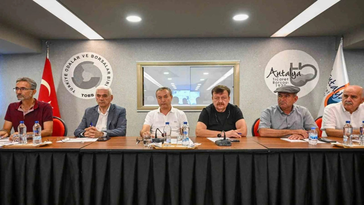 ATBde zeytin ve zeytinyağının sektörel analizi yapıldı