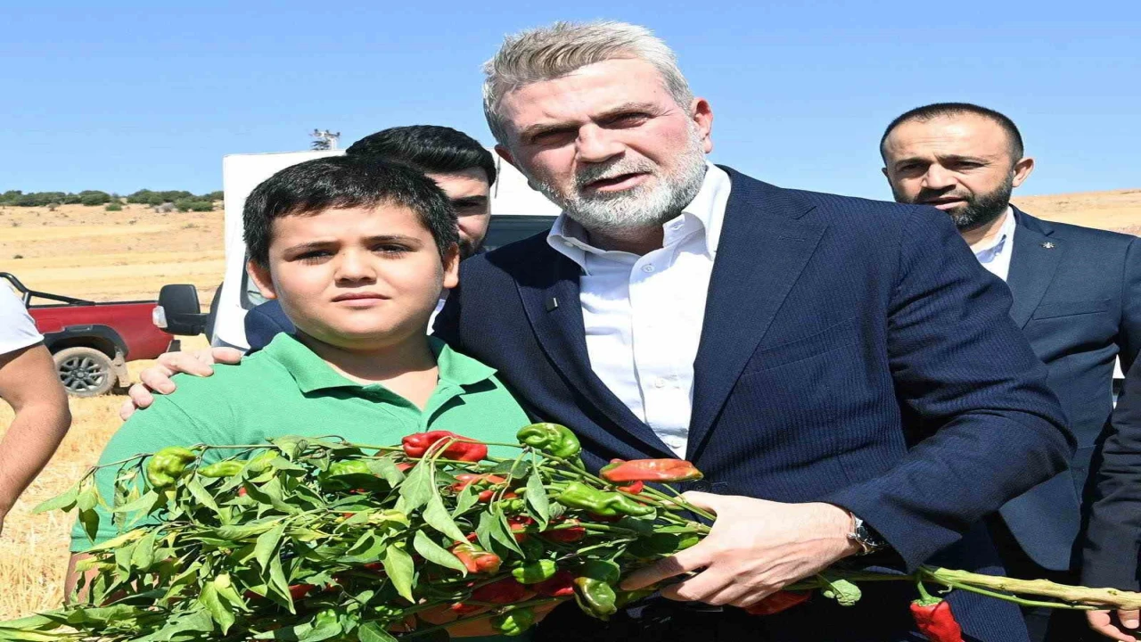 Başkan Görgel; Coğrafi işaretli Maraş biberimizin üretimi 30 bin tona ulaştı