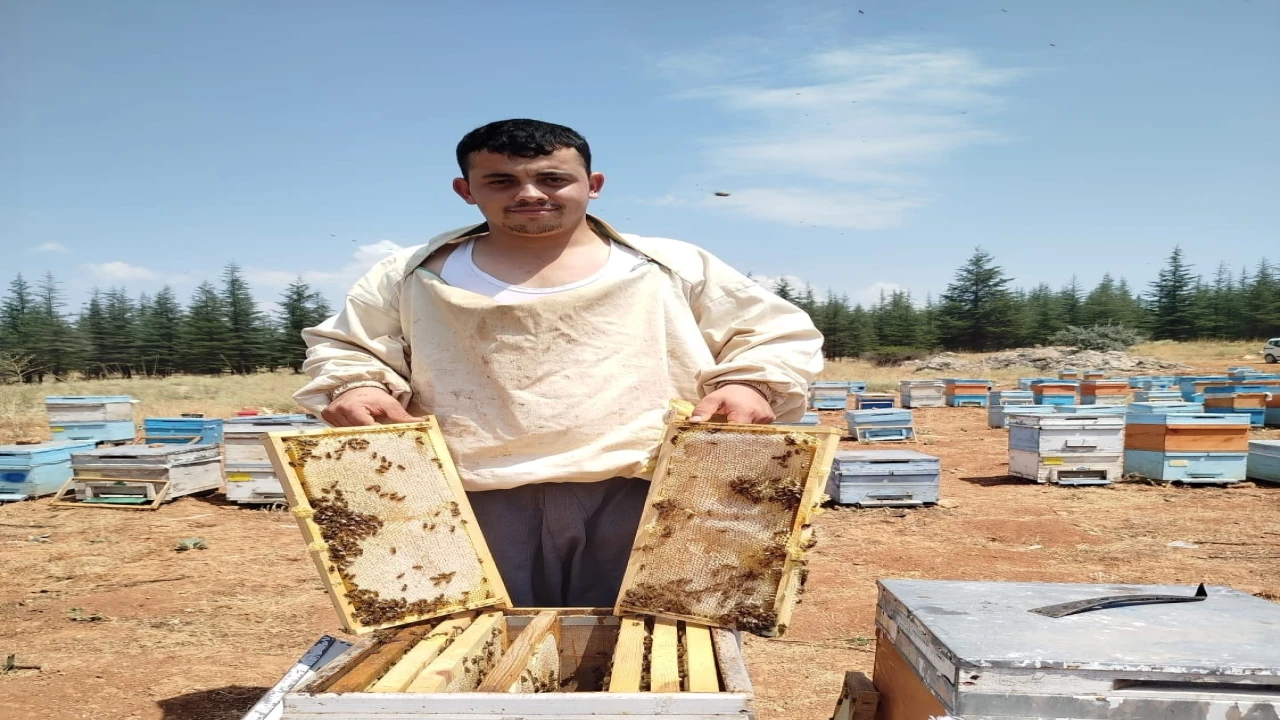 Bilgisayar programcısı genç, sevdiği baba mesleği arıcılığı tercih etti