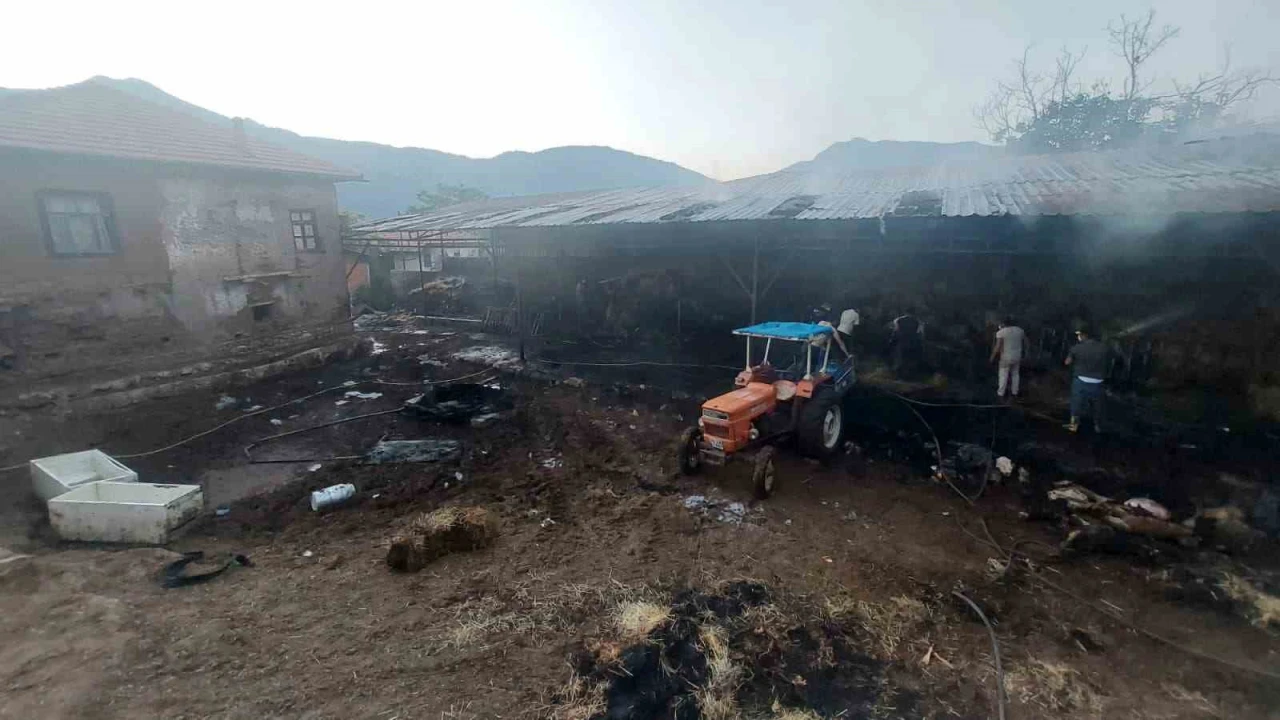 Burdurda çıkan yangında 2 bin 500 saman balyası kül oldu