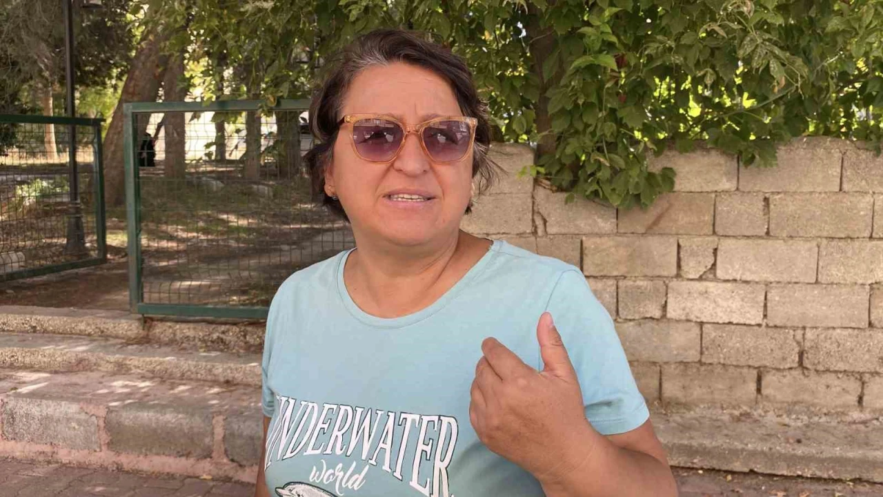 Burdurda sokak köpeklerinin saldırdığı kadın yaralandı