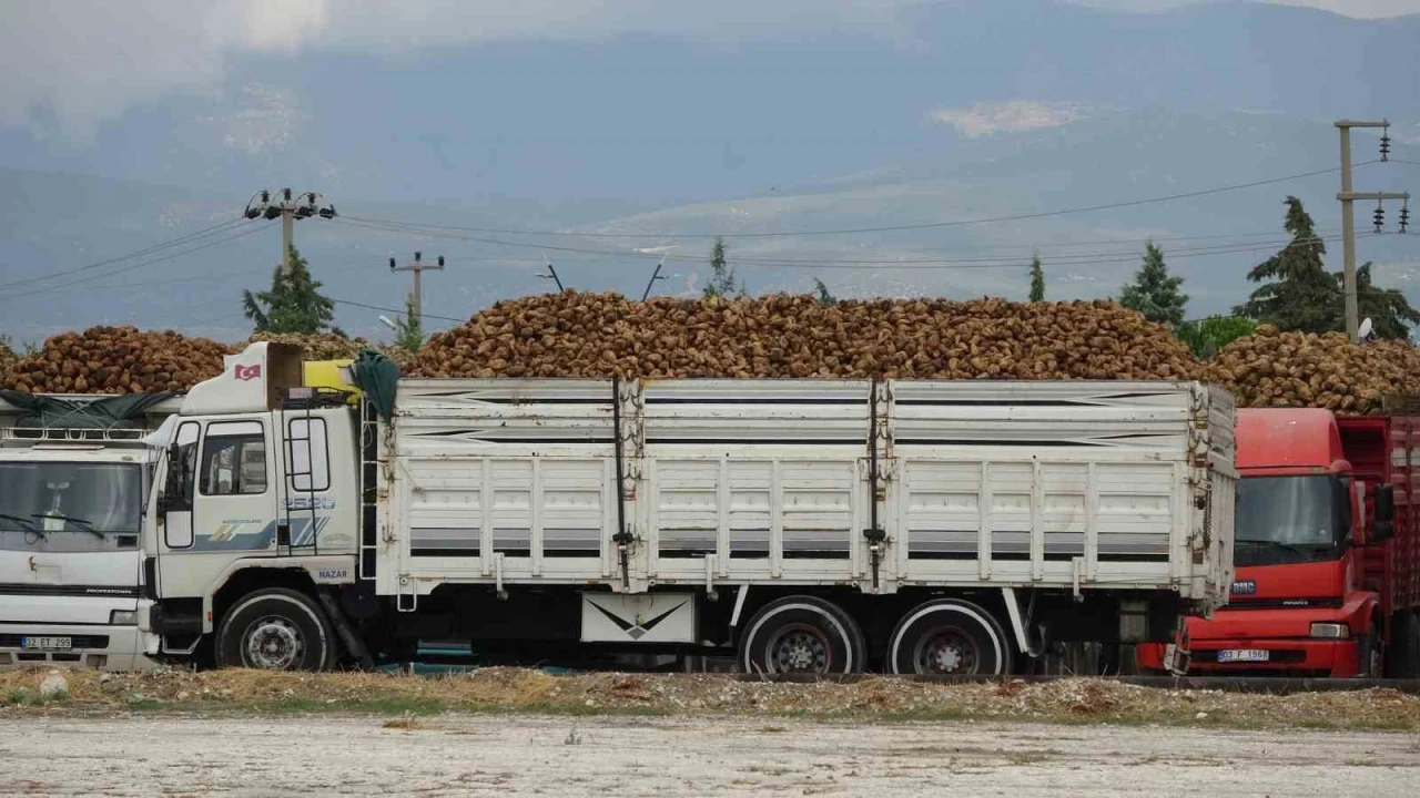 Burdurda yaklaşık 700 bin ton şeker pancarı işlenecek