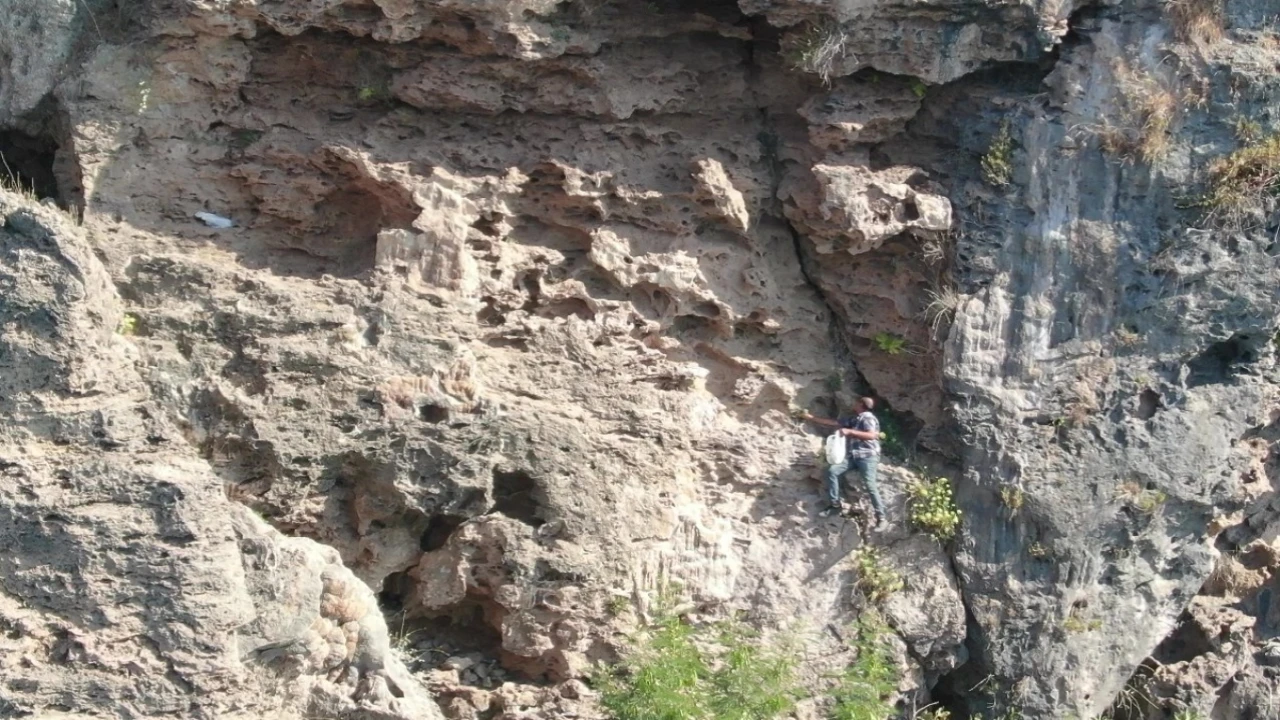 Denize sıfır sarp kayalıklarda ot topluyor, gören itfaiyeyi arıyor