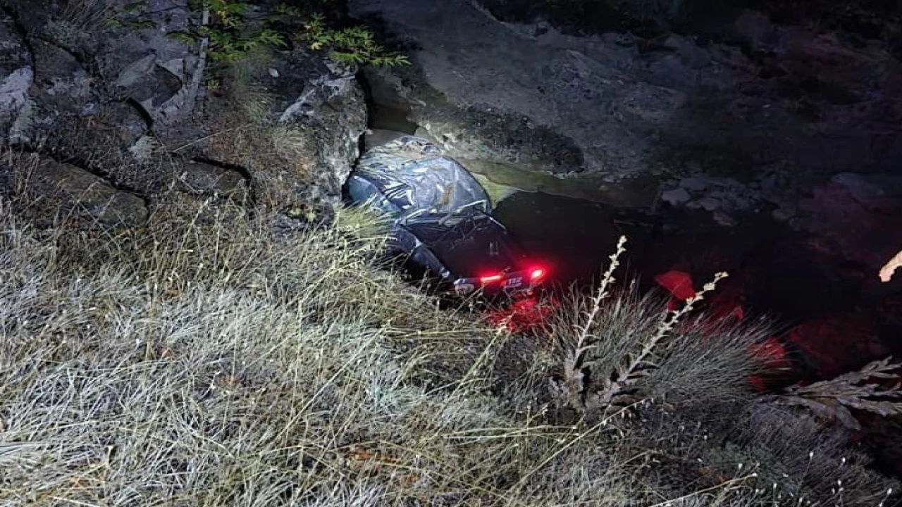 Dereye düşen kamyonetin sürücüsü yaralandı