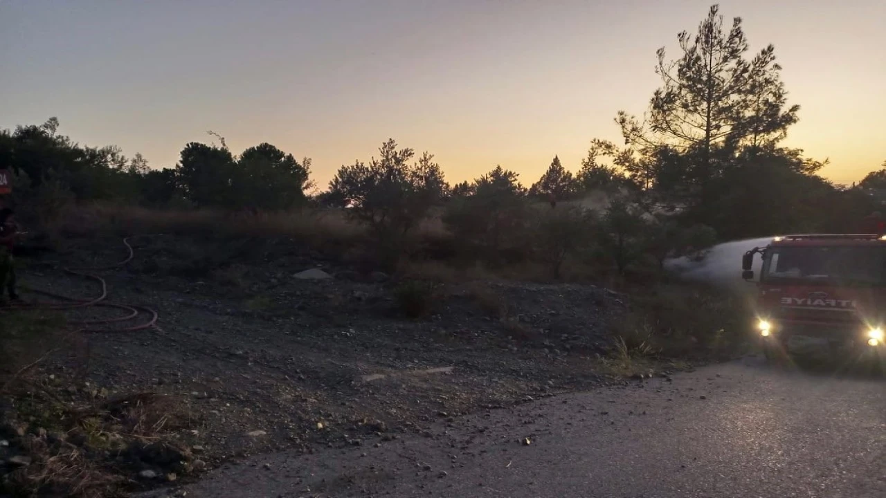 Dörtyolda orman yangını büyümeden söndürüldü