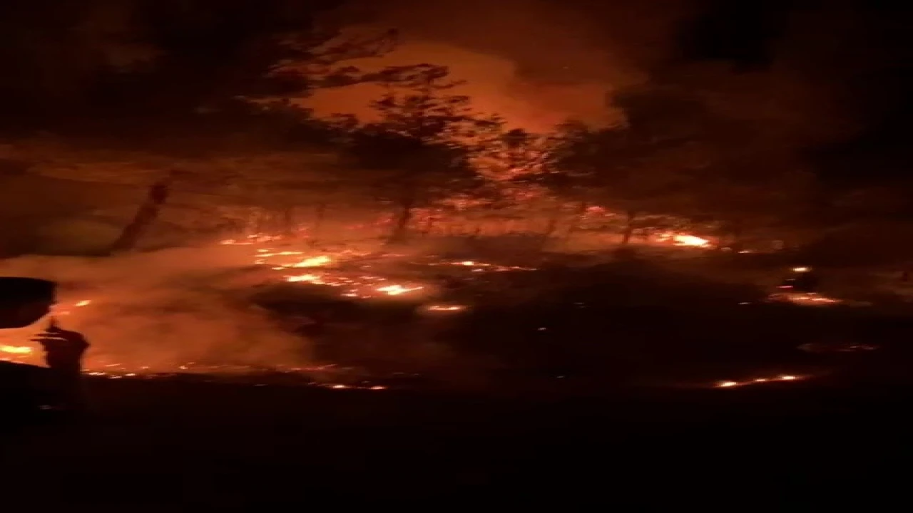 Gazipaşada ormanlık alanda yangın