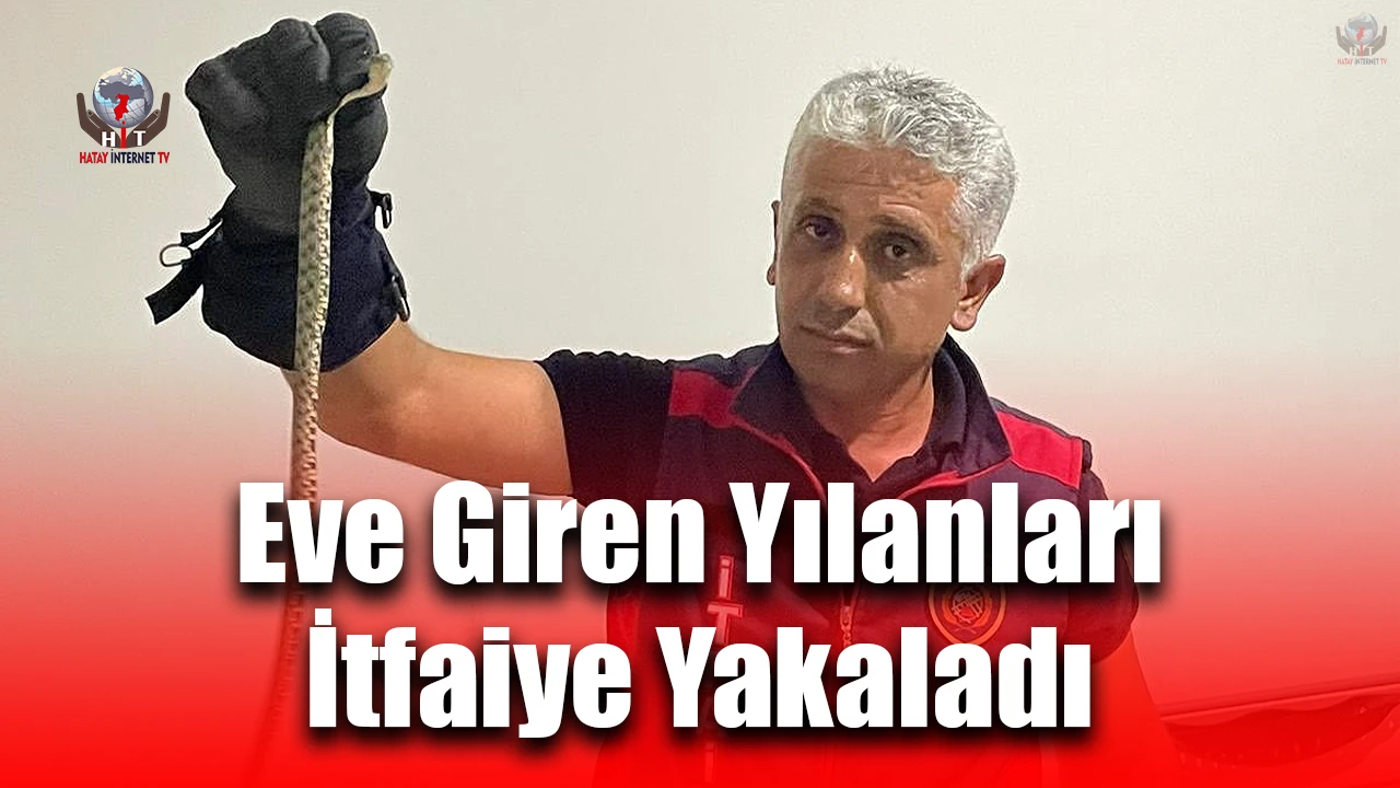 Hatayda eve giren yılanları itfaiye yakaladı