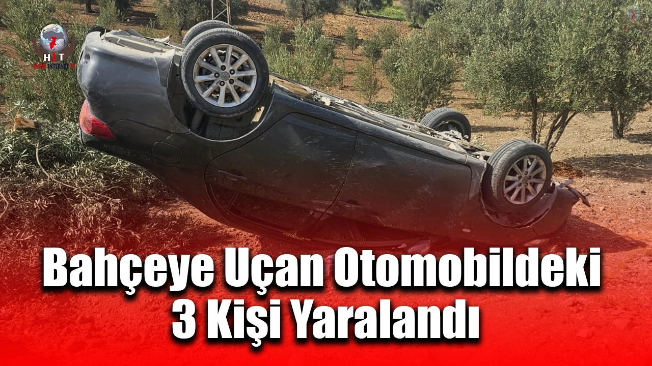 Hatayda zeytin bahçesine uçan otomobildeki 3 kişi yaralandı