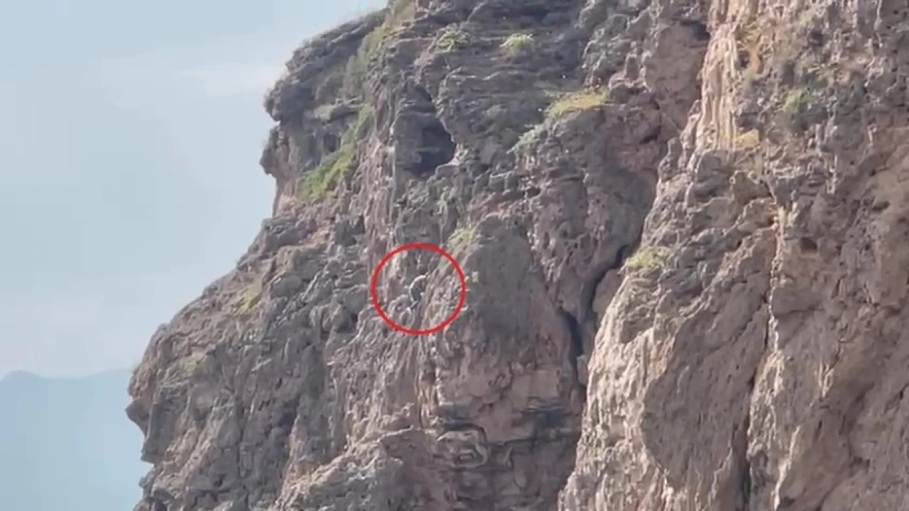 Herkes falezlerde mahsur kaldığını düşünürken gerçek apayrı çıktı