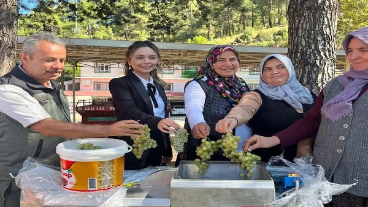 İklime Dirençli Ormancılık Projesi