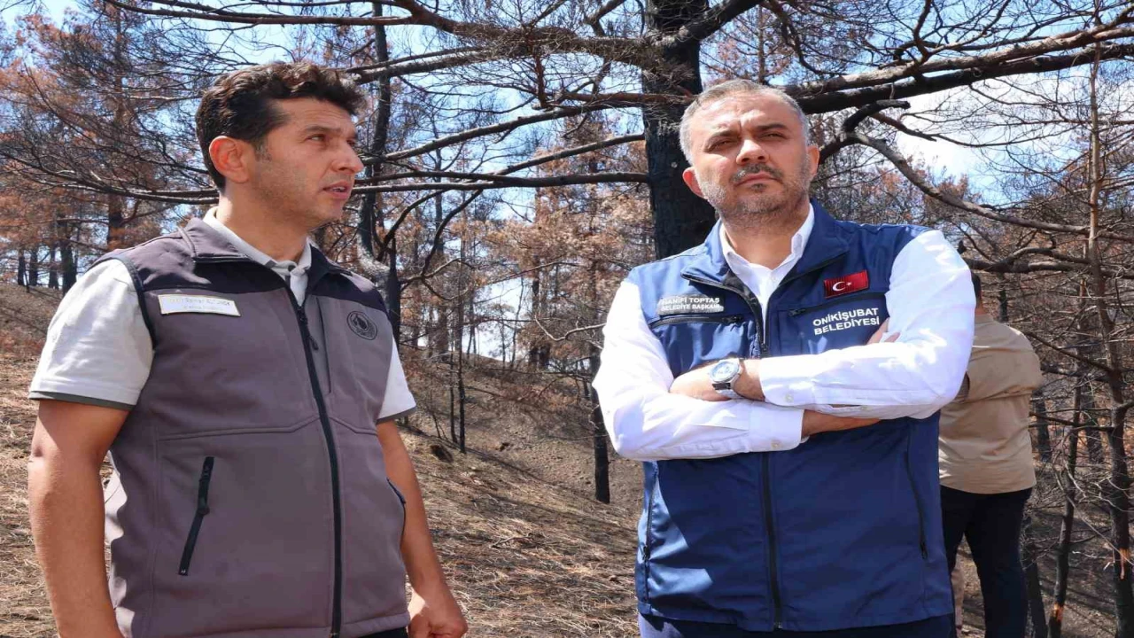 Kahramanmaraşta yanan ormanlık alanlar fidanlarla buluşturulacak