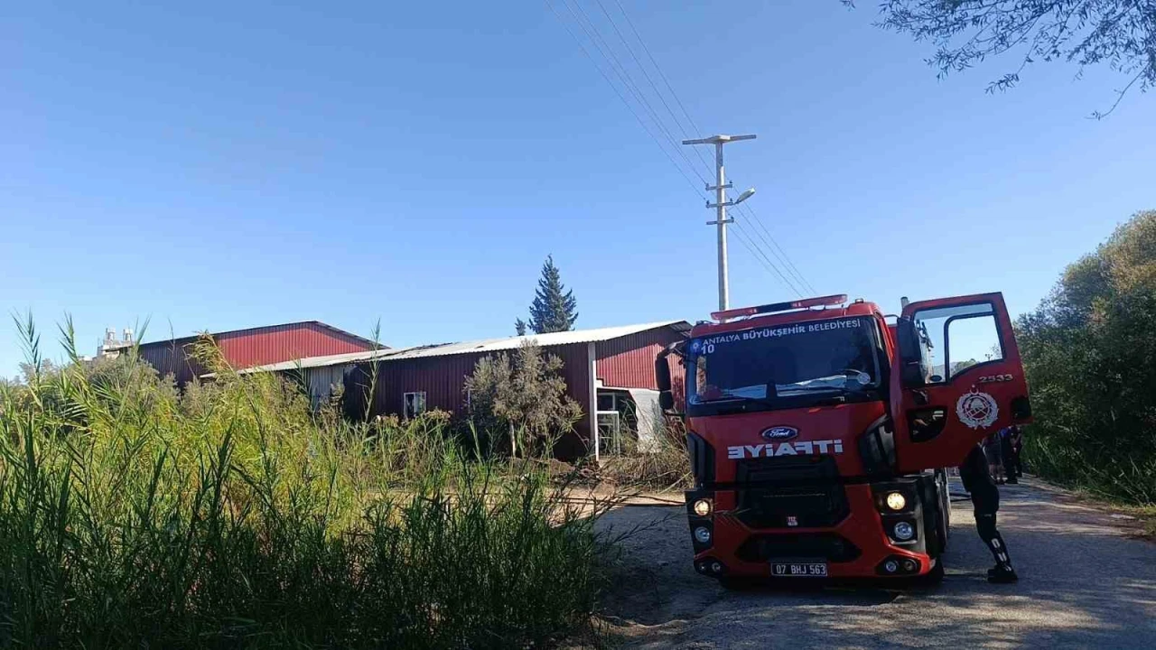 Kamışlık alanda başlayan yangın gıda toptancı deposuna sıçradı