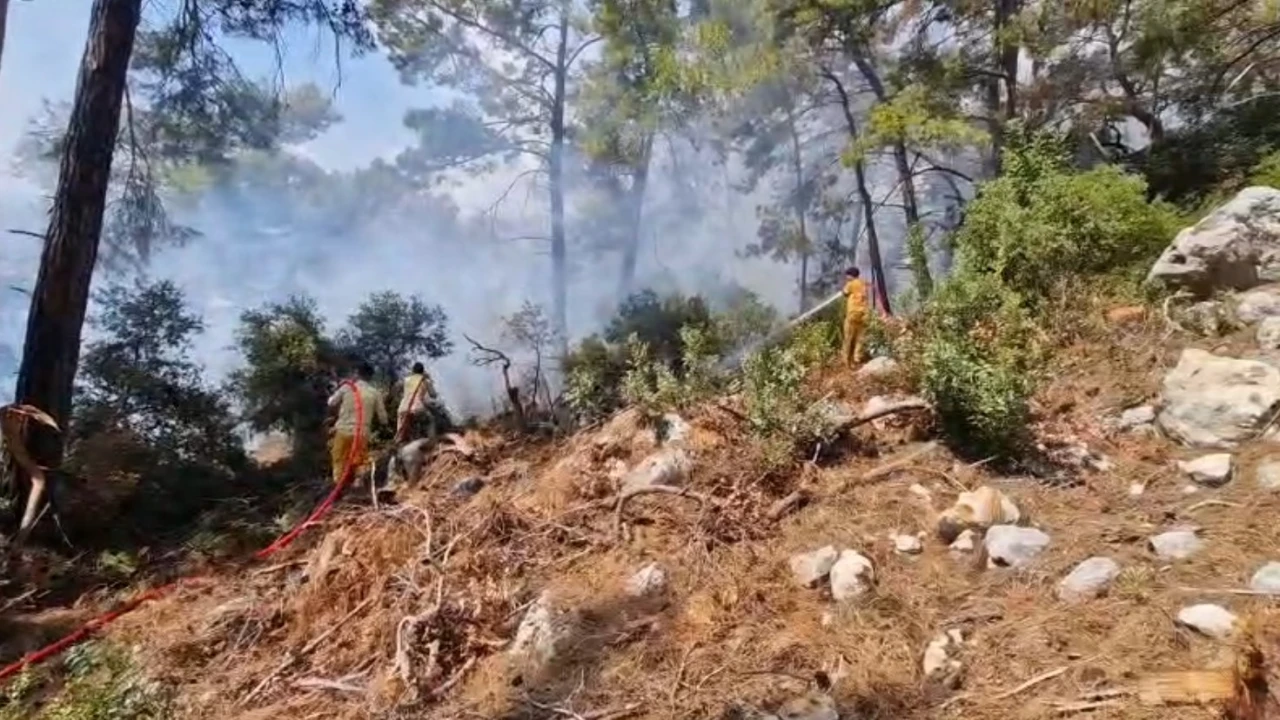 Kemerdeki orman yangını kontrol altına alındı