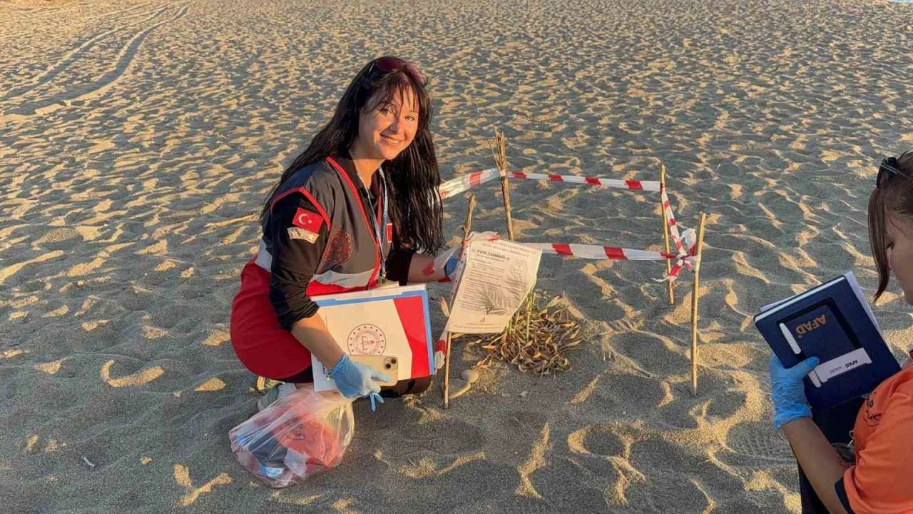 Kum zambaklarını koparanın cezası: 557 bin TL