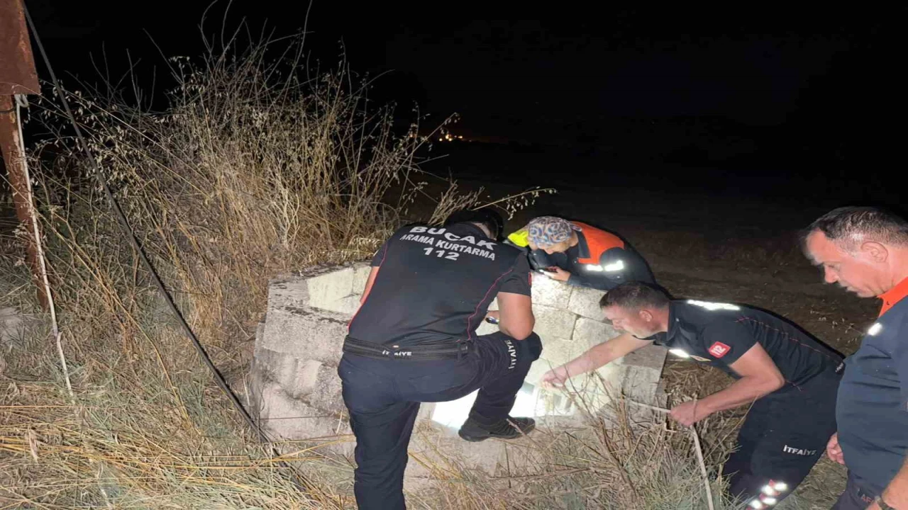 Kuyuya düşen kedi itfaiye tarafından kurtarıldı