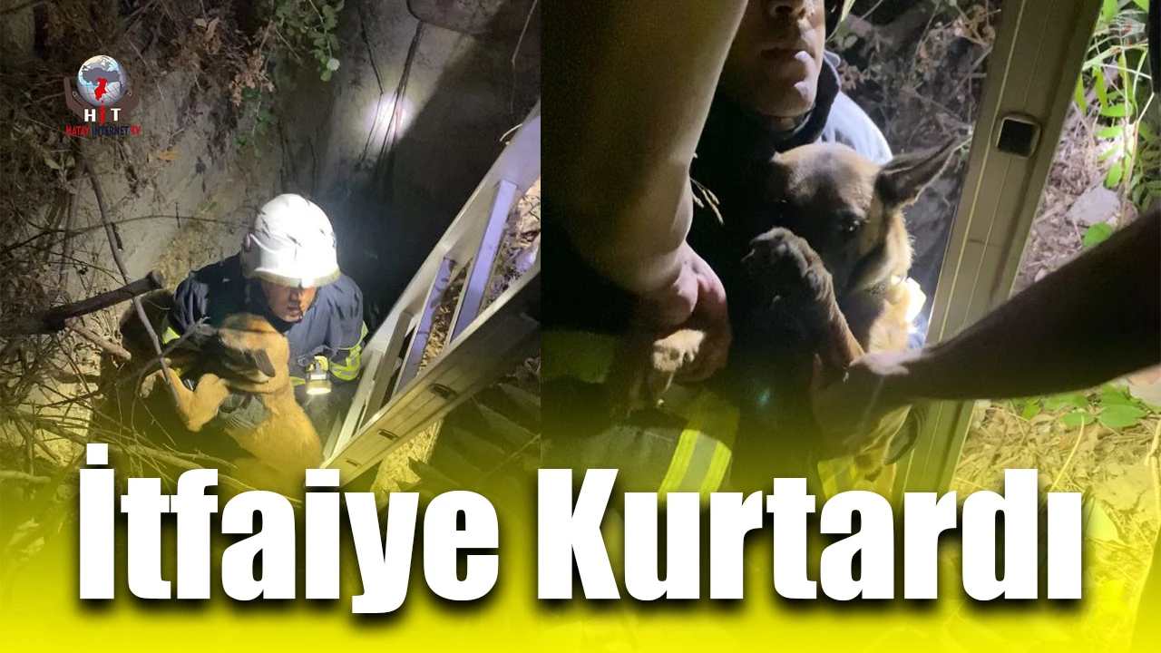 Kuyuya düşen köpeği itfaiye kurtardı