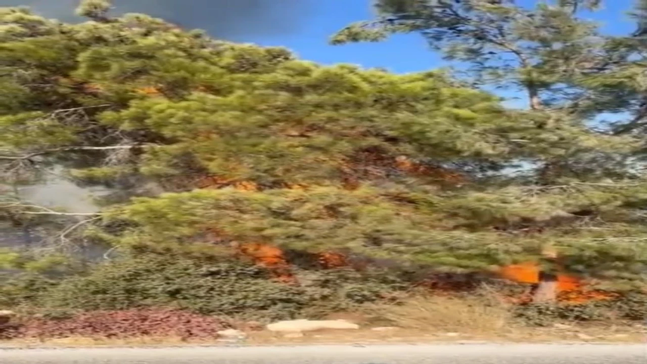 Mersin Erdemlide orman yangını büyümeden söndürüldü