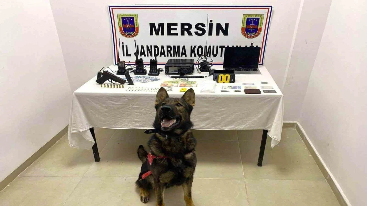 Mersinde uyuşturucu operasyonu
