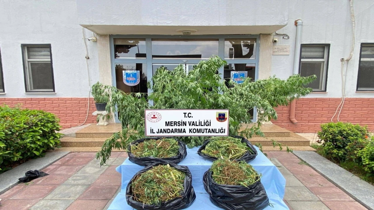 Mersinde zehir tacirlerine darbe