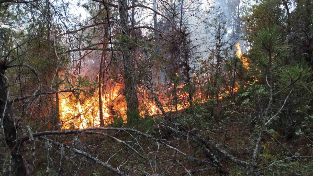 Osmaniyede çıkan orman yangını söndürüldü