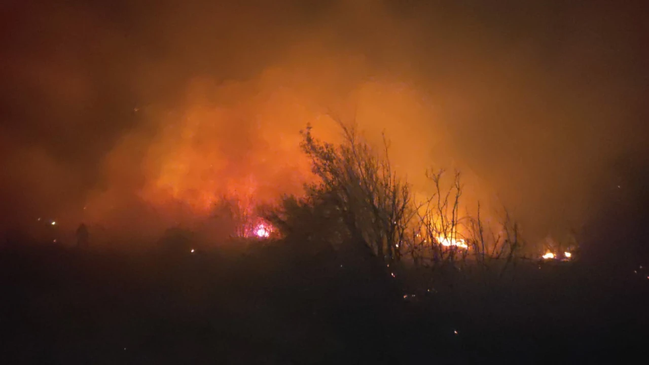 Osmaniyede makilik yangını söndürüldü