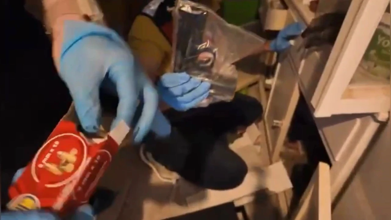 Osmaniyede terör örgütlerine yönelik operasyon: 2 tutuklama