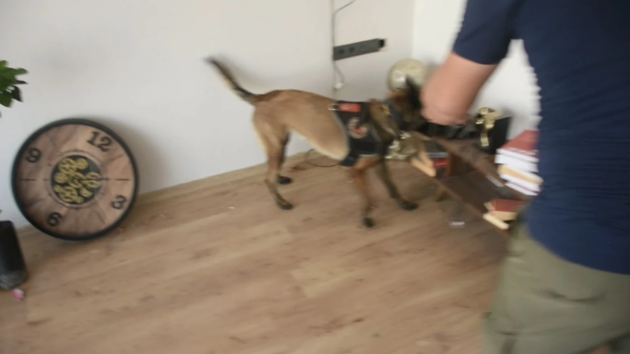 Osmaniyede uyuşturucu operasyonu: 2 tutuklama