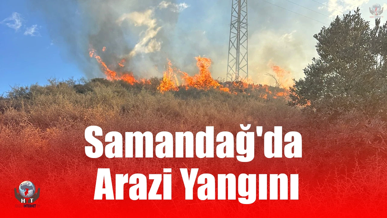 Samandağda arazi yangını