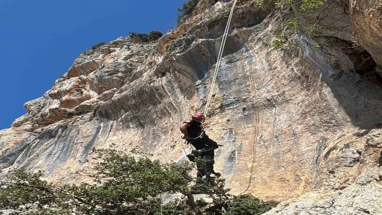 Uçurumda mahsur kalan keçi, itfaiye ekiplerince kurtarıldı