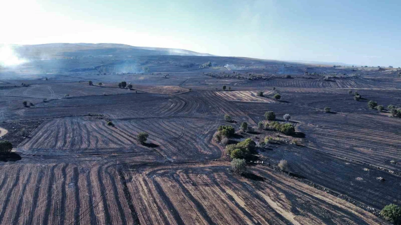 Uzmanı uyardı: Orman yangınlarına karşı topraktaki nem kapasitesini arttırmalıyız