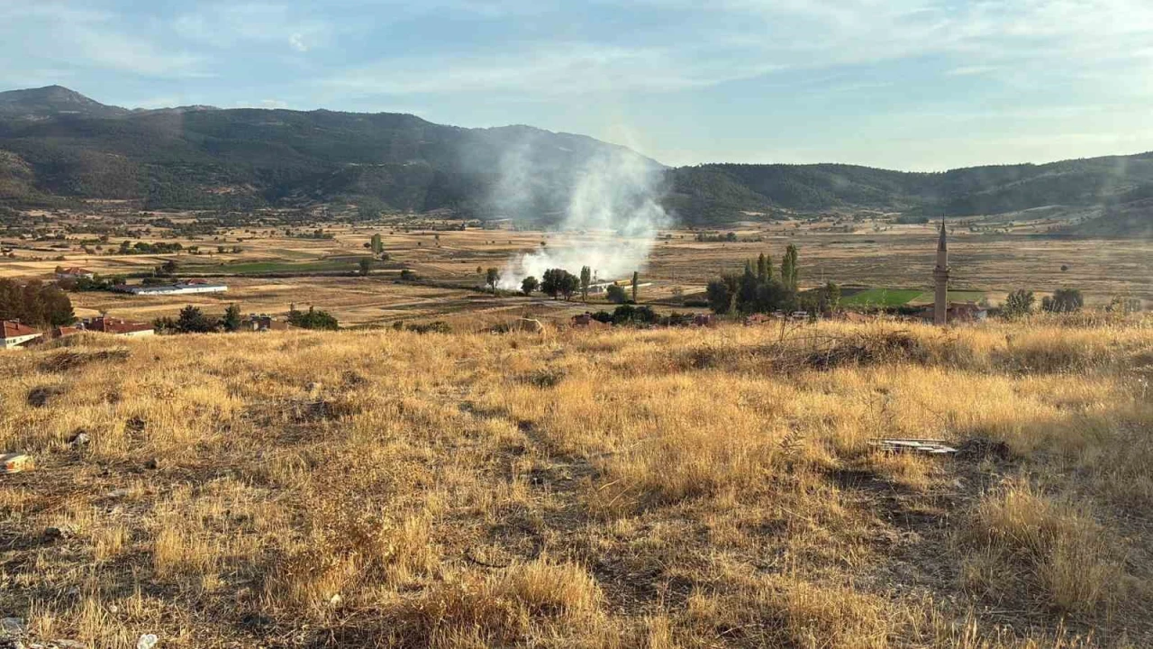 Yeşilovada arazi yangını